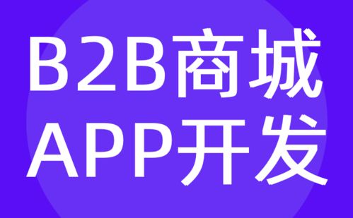 廣州b2b商城app開發 電商平臺系統定制 紅匣子科技